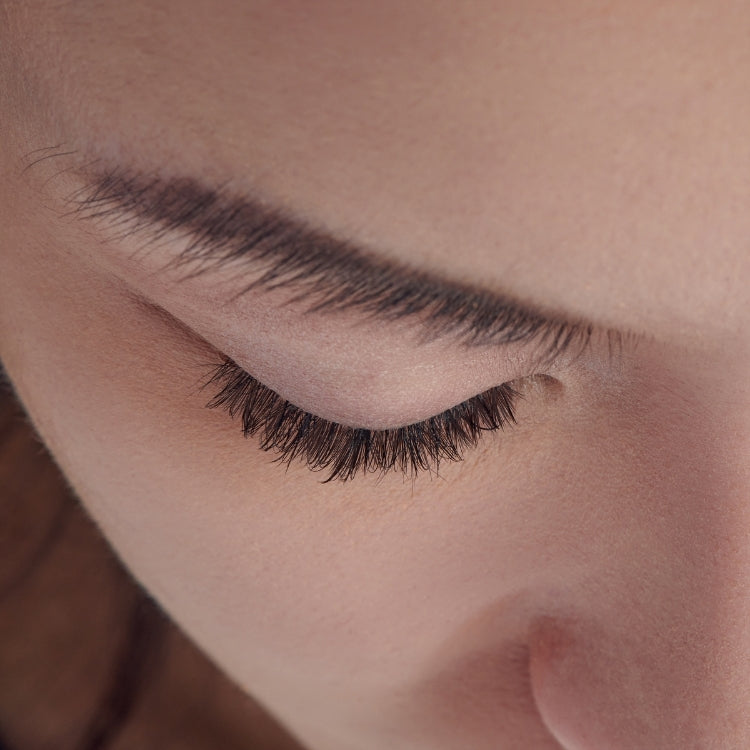 Falscara Studio Kit 8mm-12mm | Delicate met natuurlijke wimpers in een elegante verpakking, ideaal voor een subtiele look.