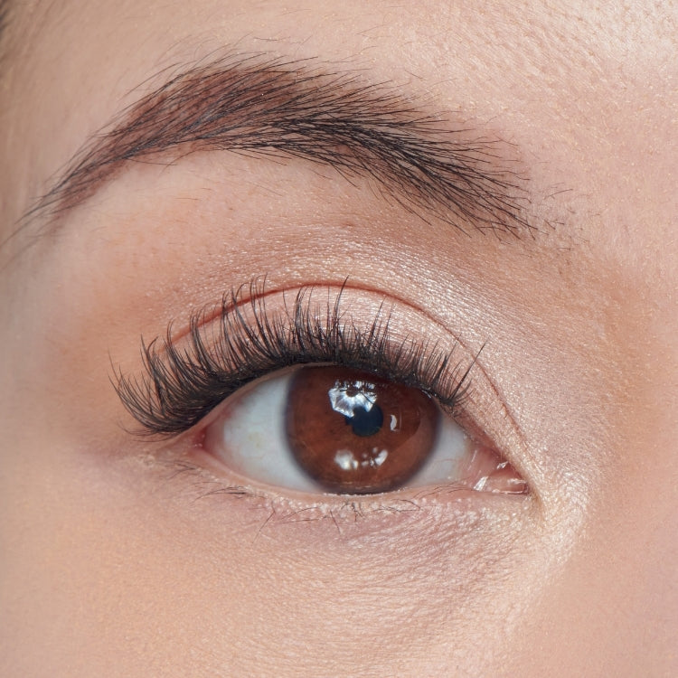 Falscara Studio Kit 8mm-12mm | Delicate met natuurlijke, lange wimpers voor een subtiele en elegante look.