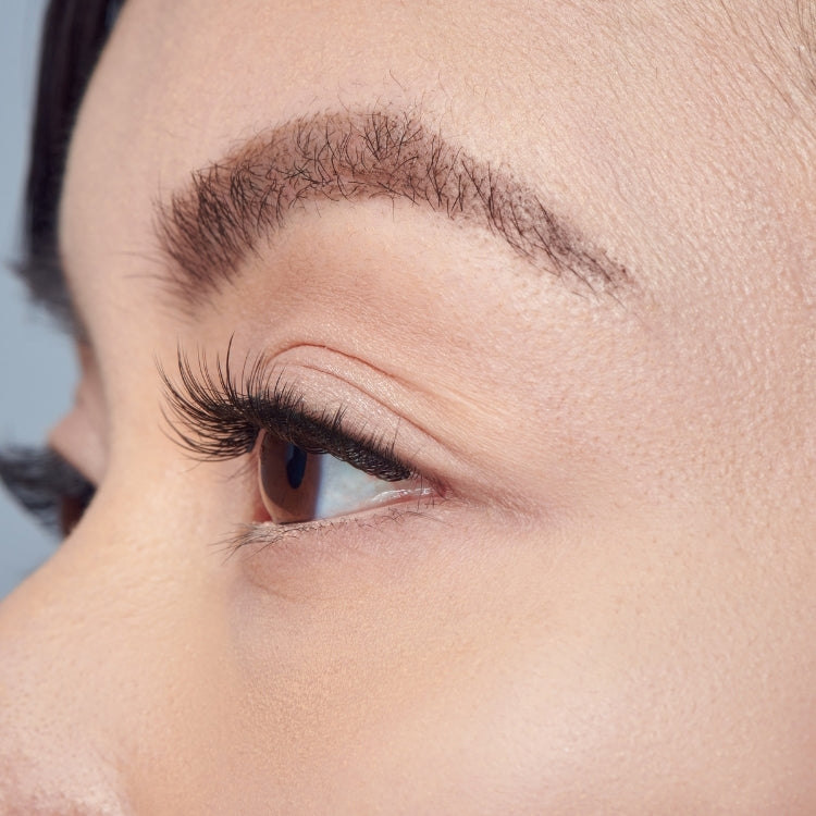 Falscara Starter Kit 10mm-12mm | Lengthening met lange, zwarte wimpers voor een natuurlijke look.